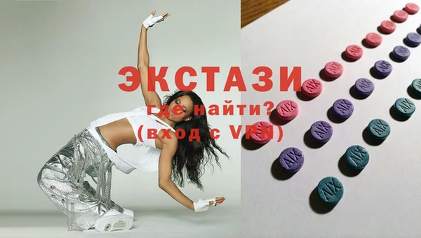 индика Каменка
