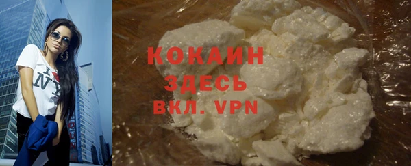 индика Каменка