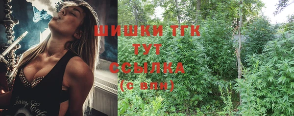 индика Каменка