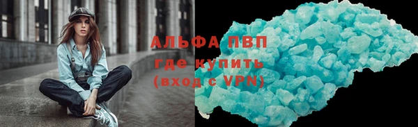 индика Каменка