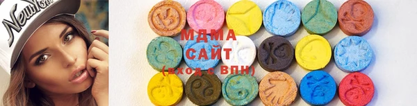 индика Каменка