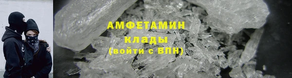 индика Каменка