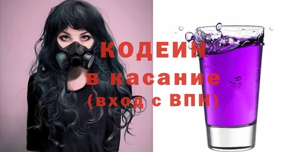 индика Каменка