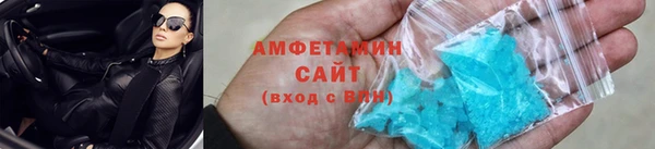 индика Каменка