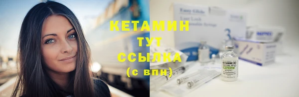 индика Каменка