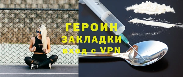 индика Каменка