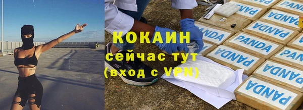 индика Каменка