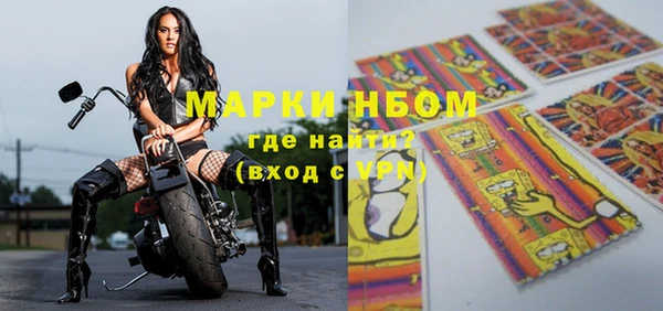 индика Каменка