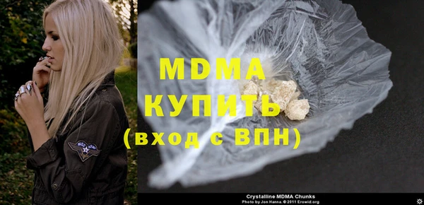 индика Каменка