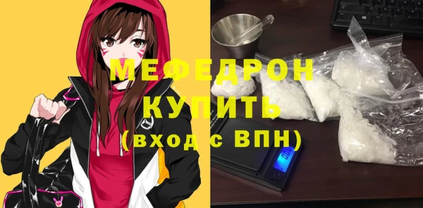 индика Каменка