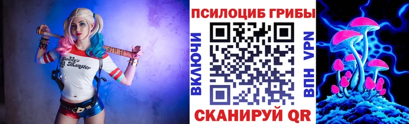 Купить где  Похвистнево  Псилоцибиновые грибы Cubensis 